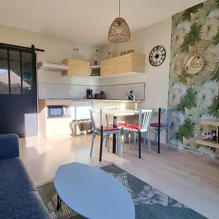 Giens 500M Des Plages De Sable -Lesclesdenicole Apartment Hyeres